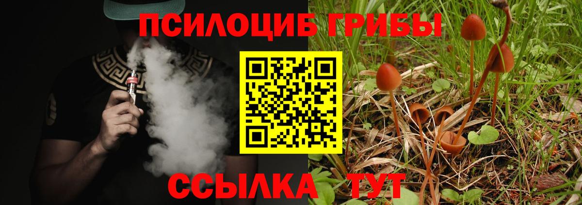 даркнет сайт  Вход с VPN  Елизово  Псилоцибиновые грибы GOLDEN TEACHER 
